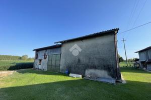 TER. AGRICOLO A TREBASELEGHE