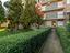 Immagine 29