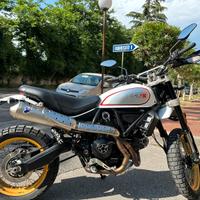 Ducati Scrambler Desert Sled-2017