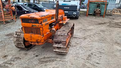 Trattore FIAT 605 C montagna