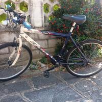 Mountain bike da uomo 