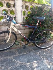 Mountain bike da uomo 