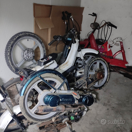 Si bravo ciao boxer grillo boss r.i.c.a.m.b.i