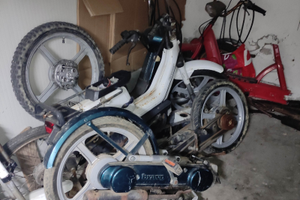 Si bravo ciao boxer grillo boss r.i.c.a.m.b.i