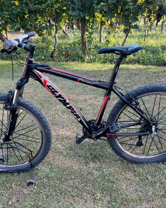 Bici Mtb