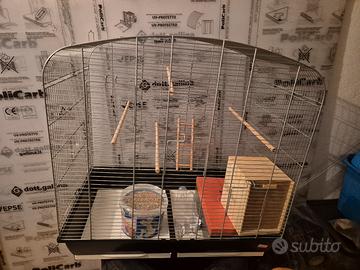 gabbia  x uccelli