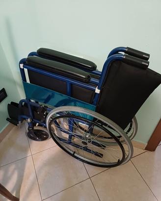 Sedia a rotelle