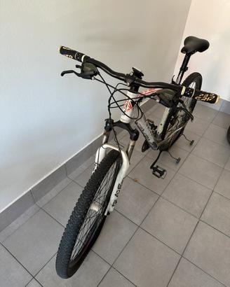 Bici mountainbike