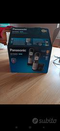 Cordless doppio Panasonic
