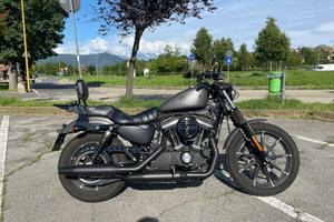 Harley Davidson Iron 883