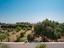 Immagine 18