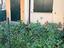 Immagine 22