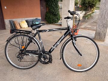 Bicicletta MONTANA Blue City