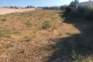 Pardinixeddu, Terreno recintato pianeggiante