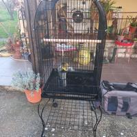 Gabbia per uccelli