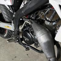 Pancia e terminale big one