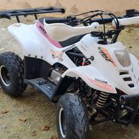 Quad bigfoot cc 110 del 2016