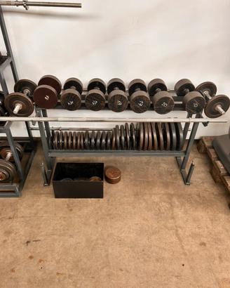 Porta pesi con manubri e dischi