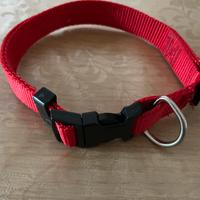 Collare guinzaglio ed altro