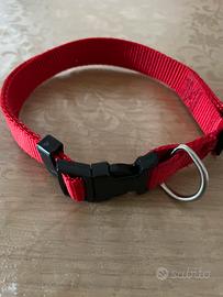 Collare guinzaglio ed altro