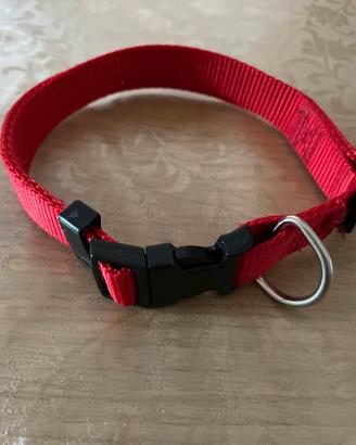 Collare guinzaglio ed altro