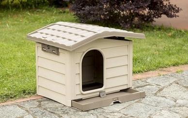 cuccia per cane