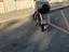 Immagine 3