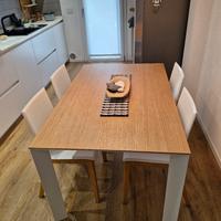 TAVOLO E 4 SEDIE DESIGN LEGNO MARCA POINT 140x100 