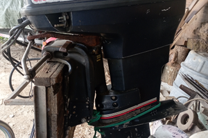 Fuoribordo Evinrude XP 737