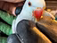 Immagine 1