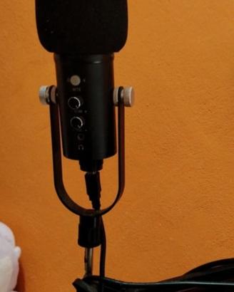 microfono con braccio per reggerlo 