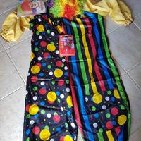 Vestito carnevale uomo Tg. M/L