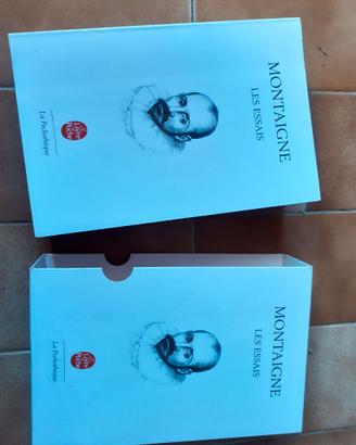 Montaigne Les essais I saggi filosofia francese