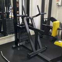 Dorsey machine - rowing Panatta professionale