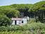 Immagine 24