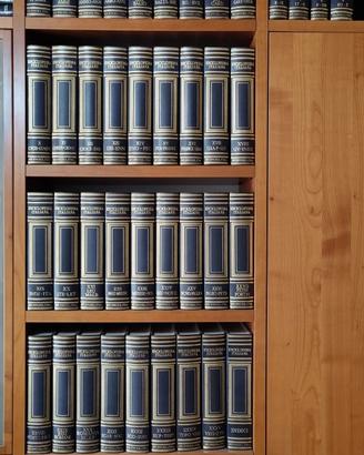 Enciclopedia Treccani 