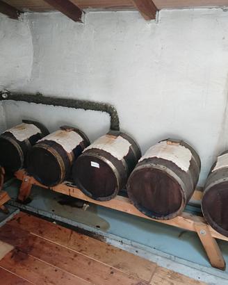Batteria aceto balsamico tradizionale modena