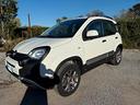 fiat-panda-cross-1-3-mjt-95-cv-s-s-4x4