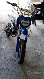 pit bike 125 yuma  automatico 