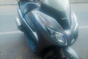 Honda forza 300 anno 2014