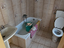 Immagine 6