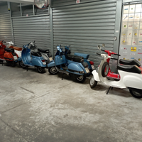 Collezione vespe