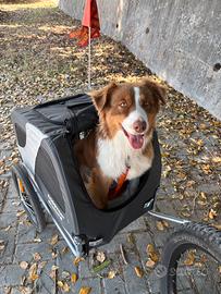 Trasportino cane