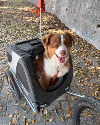 Trasportino cane