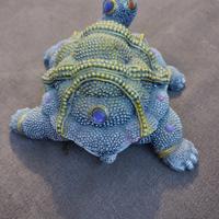 tartaruga 