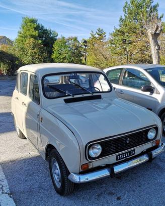 1979 Renault 4 850 cc