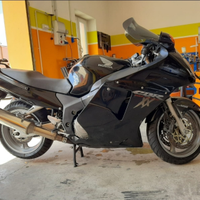 Honda cbr1100 blackbird