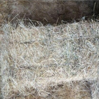 Ballotte di fieno