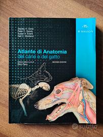Libri cani e gatti 