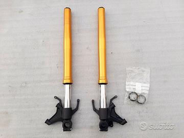 FORCELLE PERFETTE YAMAHA R1 2015 a 2025